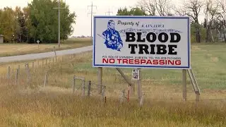 Indigenous Recovery Camps To Help Those Battling Addiction - August 25, 2021 - Micah Quinn