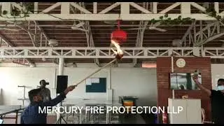 MERCURY FIRE PROTECTION LLP