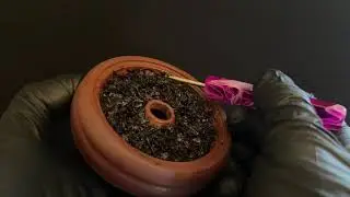 Stop Burning Your Shisha! Master the Heat Well Technique