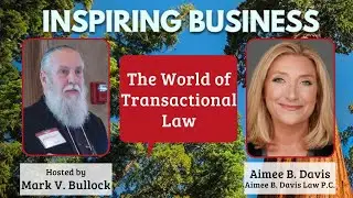 The World of Transactional Law with Aimee B. Davis