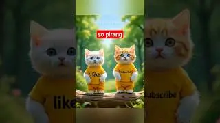duo kucing lucu#shorts#fypシ#kitten