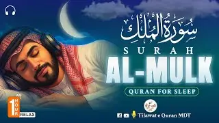 Relax Your Heart & Sleep Peacefully | Deep Healing Lofi Quran Recitation #lofiquran