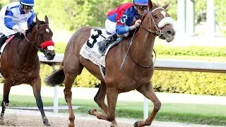 Horse Racing Global Live  Stream