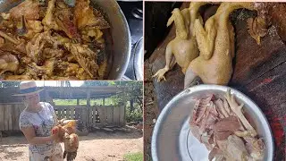 Matando e preparando frango  🐔 🐔 vem com nois .A água levou boeiro embora