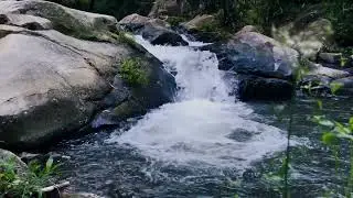 Peaceful flowing water in Nature | Relaxing scenic landscape 