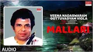 Carnatic Classical Instrumental | Veena Nadaswaram Gottuvadyam Viola | Mallari | T.R. Jaishankar