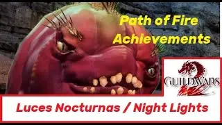 ✔ Guild Wars 2 ✔ Luces Nocturnas / Night Lights (Tierras ALtas del Desierto)
