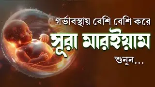 গর্ভাবস্থায় প্রতিদিন সূরা মারইয়াম শুনুন | হৃদয় ছুঁয়ে যাওয়া তেলাওয়াত | Surah Maryam by Alaa Aqel