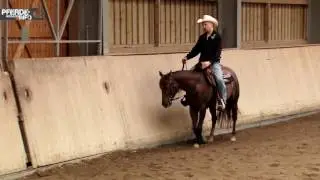Westerntraining mit Felix Schnabel - Travers im Schritt