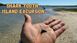 Kayaking To Shark Tooth Island | The Perfect Beach House Rental- Cedar Point, NC Part 1