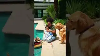 Episode 18 Child in Pool.🐾✨ #dog #pug #speakpug #funnyanimal #cute #mypug #funnydog #pets #funnypet