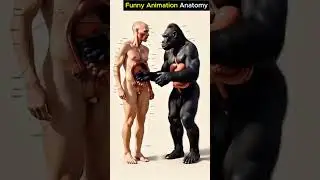 #humananatomy #monkeyanatomy