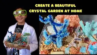 How to Create 3 Types Of Crystals At Home - Kids Science Experiment CRYSTALS GARDEN - DIY Crystals