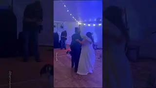 Animals Get Invited To Wedding! 🐾💍