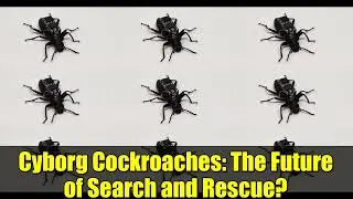 Cyborg Cockroaches: The Future of Search and Rescue? | Biohybrid Technology Explained