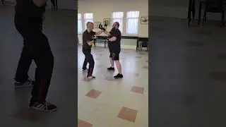 Pak mei kung fu freestyle combat secret sparring development