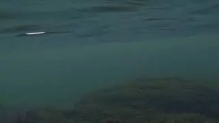 waterproof test #1 gopro hero 13 black