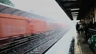 Taurus obb inrail sotto un diluvio di acqua e grandine.