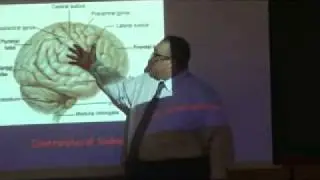 The Pupil and Visual PathwayDr  Ashraf Saad 4