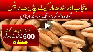 Today's Wheat and Grain Rates in Pakistan | Latest Update l Pakistan Wheat and Grain Market Update