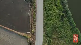 RICE Ecosystem fresh water wetlands (english)