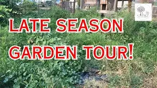 Mailorder Chicks and Garden Tour (End of Season Chaos!)