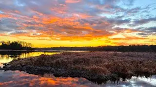 Burnaby Lake stunning sunrise