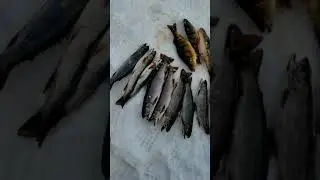 Ice fishing lake Cocolalla Feb 2021