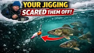 Your Jigging is a JOKE to Fish. Here's the Brutal Reason Why.