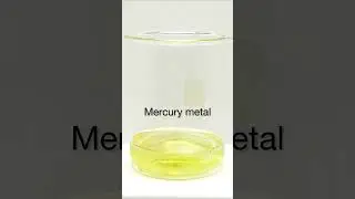 MERCURY + NITRIC ACID  #generalchemistry  #chemistry #icse  #chemistrylover #experiment