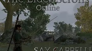 Elder Scrolls online Highlights