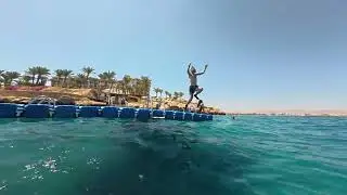 Hausriff Schnorcheln Stella di Mare Sham el Sheikh #holidays #summer #snorkeling #shorts #travel