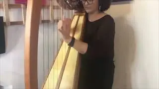 harmonics on the octave and fifth (12th) | harp extended technique