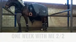 One Week With Me (2/2) - Reiten, Sport, Spazieren | PIA