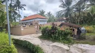 Ubud Rice Terrace Walk Bali December 2025