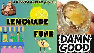 LEMONADE FUNK! Sugar by DAMN GOOD -Legal THCA Concentrate Review