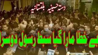 Be khata Mara gaya Sibte Rasool E Dosara Wa Hassanع E Sabze Qaza | 28 Safar
