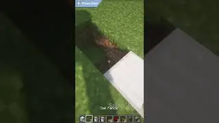 Secret Hidden Pufferfish Piston Door #shorts