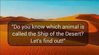 Why Camel is Called the Ship of the Desert | General Knowledge Quiz | Greenshines
