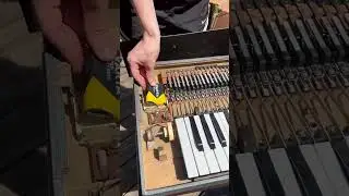 Have you heard of this keyboard? #keyboard #vintage #rare