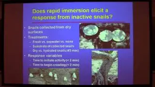 SoMAS - Growth, Behavior, & Physiology of a Supralittoral Tropical Marine Snail