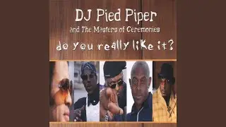 Do You Really Like It? (Radio Edit)