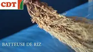 BATTEUSE DE RIZ