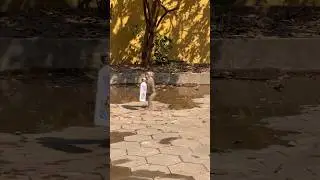 #monkeyplay