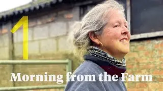 Podcast + Fat Lambs &ndash;&nbsp;Good Morning from the Farm