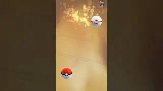 Shiny Legendary* lucky mirror trade 😎 in #pokemongo#shiny#legendary#lucky#trade