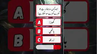 General Knowledge Quiz in Urdu | Brain Test | GK Quiz in Urdu #shorts