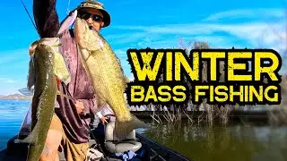Зимняя рыбалка на окуня 2025 в Южной Калифорнии #рыбалка #ловляокуня #джангомик