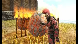 Ark Survival Evolved Ragnarok boosted server argentavis taming and wyvern egg hatching