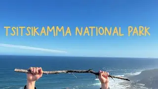 Sights and sounds of Tsitsikamma National Park South Africa